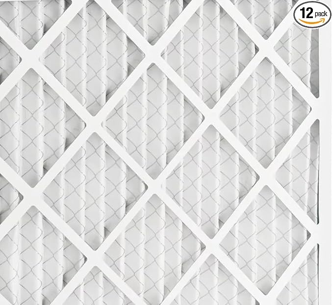 BNX TruFilter 20x24x1 Air Filter MERV 13 (12-Pack) - MADE IN USA - Electrostatic Pleated Air Conditioner HVAC AC Furnace Filters for Allergies, Pollen, Mold, Bacteria, Smoke, Allergen, MPR 1900 FPR 10