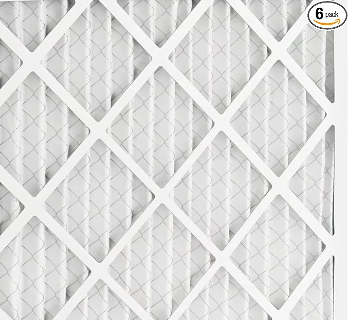 BNX TruFilter 20x25x1 MERV 10 (6-Pack) AC Furnace Air Filter - MADE IN USA - Pleated Air Conditioner HVAC AC Furnace Filters - Removes Odor, Mold, Bacteria, Smoke