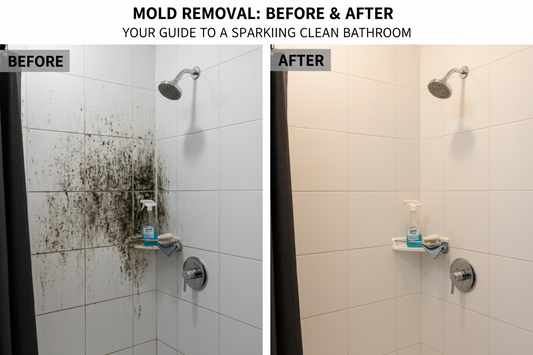 Eradicating Bathroom Mold & Mildew: A Guide for Windowless Bathrooms