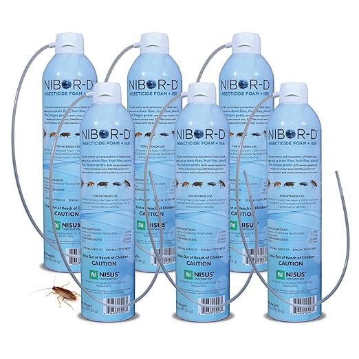 Cleaning Pest Control
