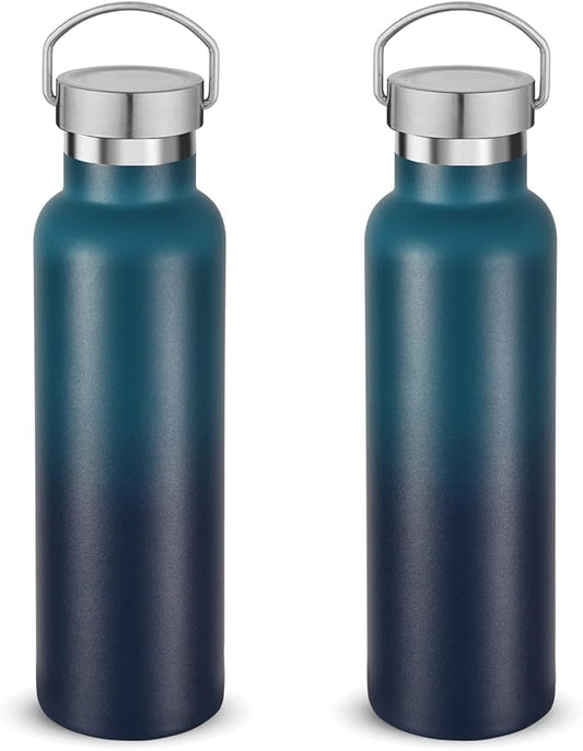 Neihepal 20 oz Insulated Water Bottles Bulk 2 Pack,Stainless Steel Double Wall Sport Bottle with Lid of Handle,Metal Reusable Thermoses Flask for School,Cyclists,Hikers,Gift (Dark Night,Set of 2)