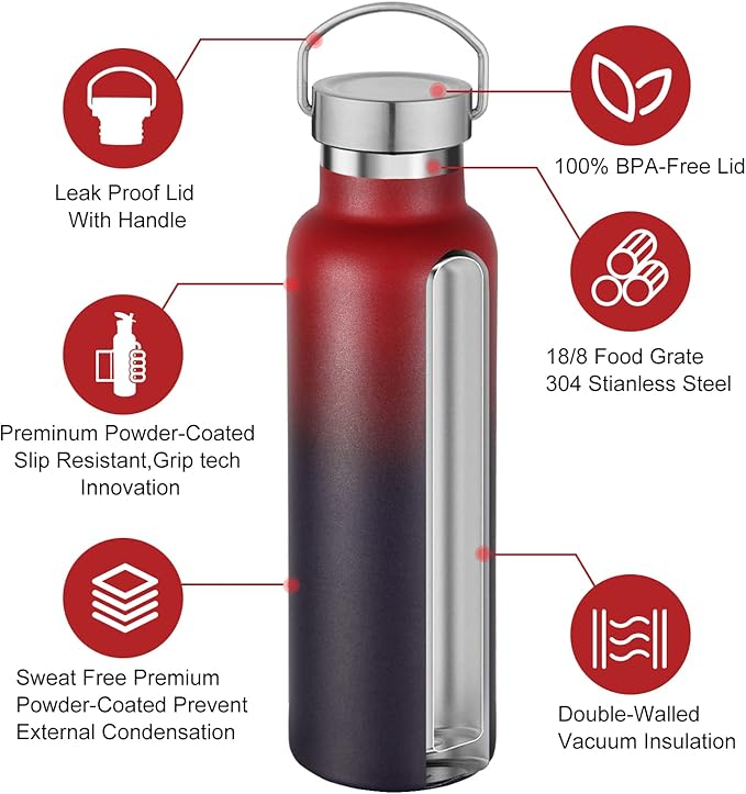 Neihepal 20 oz Insulated Water Bottles Bulk 2 Pack,Stainless Steel Double Wall Sport Bottle with Lid of Handle,Metal Reusable Thermoses Flask for School,Cyclists,Hikers,Gift (Assorted,Set of 2)