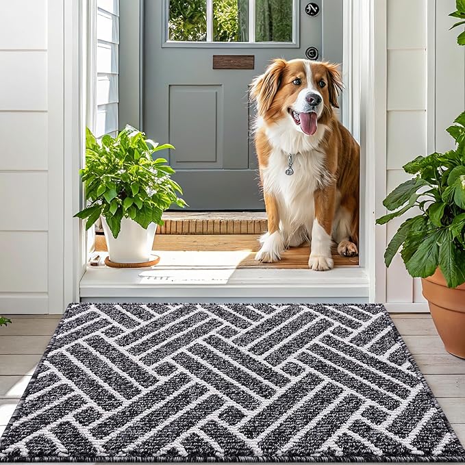 OLANLY Indoor Door Mat, 32x20 Inch, Dirt Resistant and Absorbent, Non-Slip Rubber Backing Floor Mats, Easy Clean Low-Profile Doormat for Entryway, Front Door, and Inside Entrance, Black